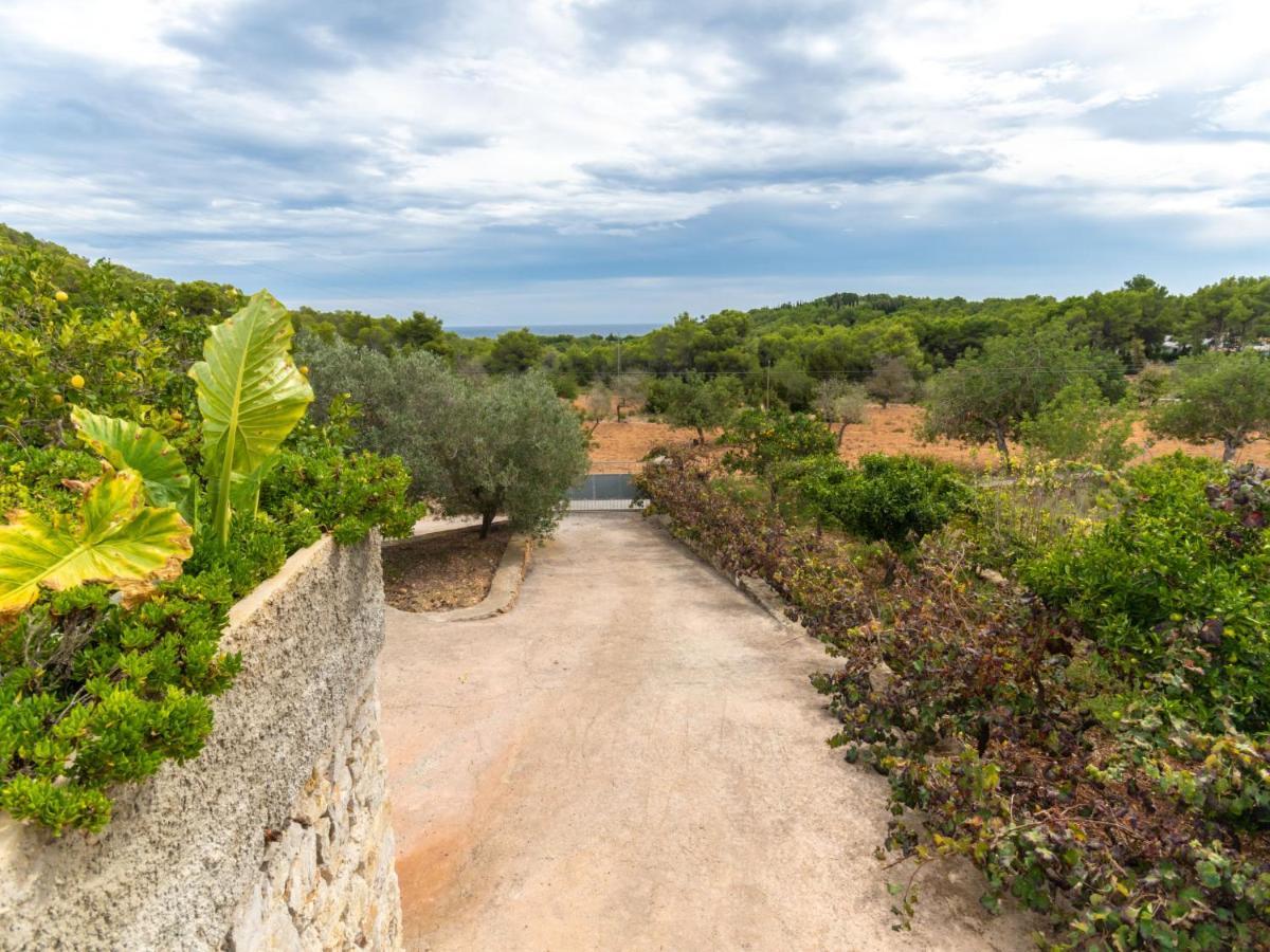 Holiday Home Can Pep Jaume By Interhome Эс-Кана Экстерьер фото